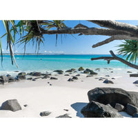 Cooly Dreaming - Tidaltones