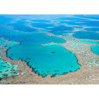 GBR Veins - Tidaltones