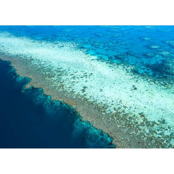 Reef Dropoff - Tidaltones