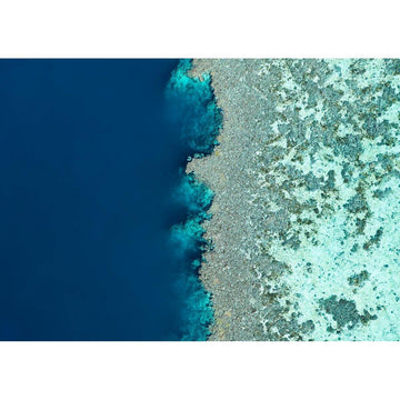 Reef Symmetry - Tidaltones