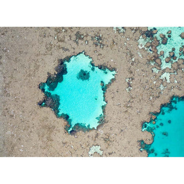 Reef Craters - Tidaltones