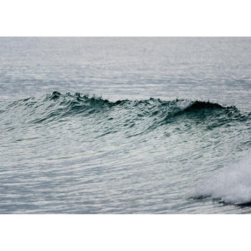 Kirra Wave - Tidaltones