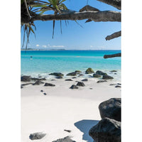 Cooly Dreaming - Tidaltones