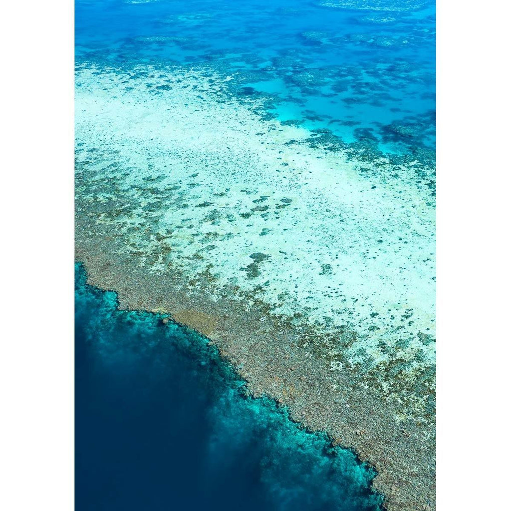 Reef Dropoff - Tidaltones