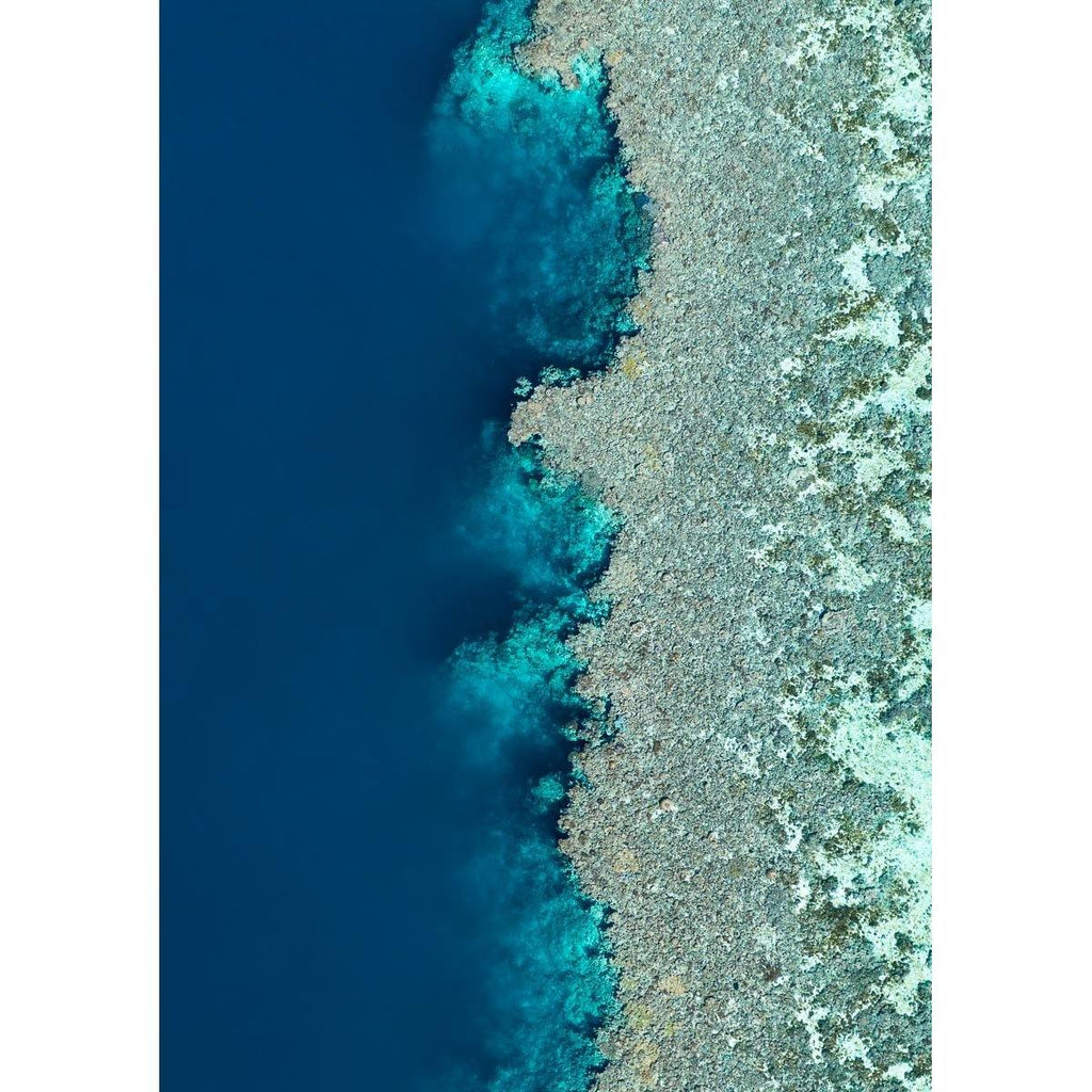 Reef Symmetry - Tidaltones