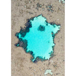 Reef Craters - Tidaltones