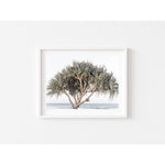 Pandanus By The Sea - Art Print