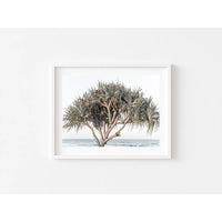 Pandanus By The Sea - Art Print Tidaltones