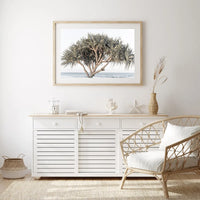 Pandanus By The Sea - Art Print Tidaltones