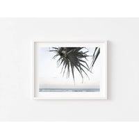 Pandanus By The Sea ii - Art Print Tidaltones