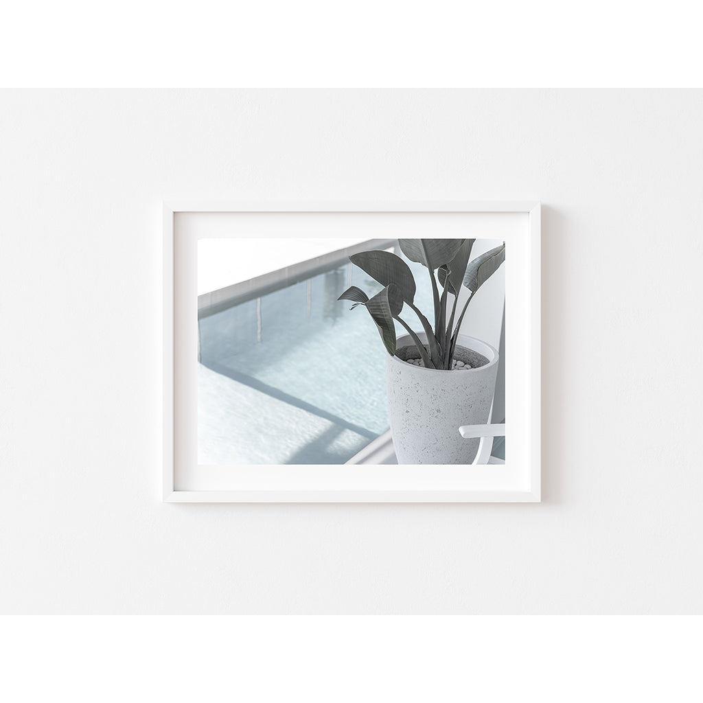 By The Pool - Art Print