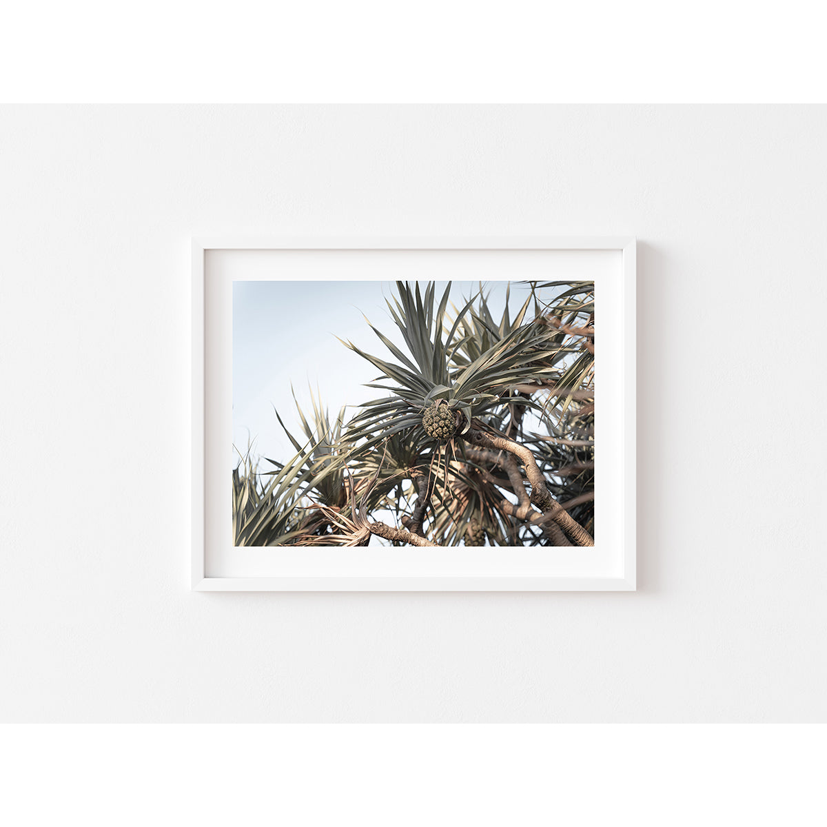 Pandanus Love - Art Print