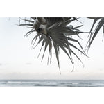 Pandanus By The Sea ii - Art Print