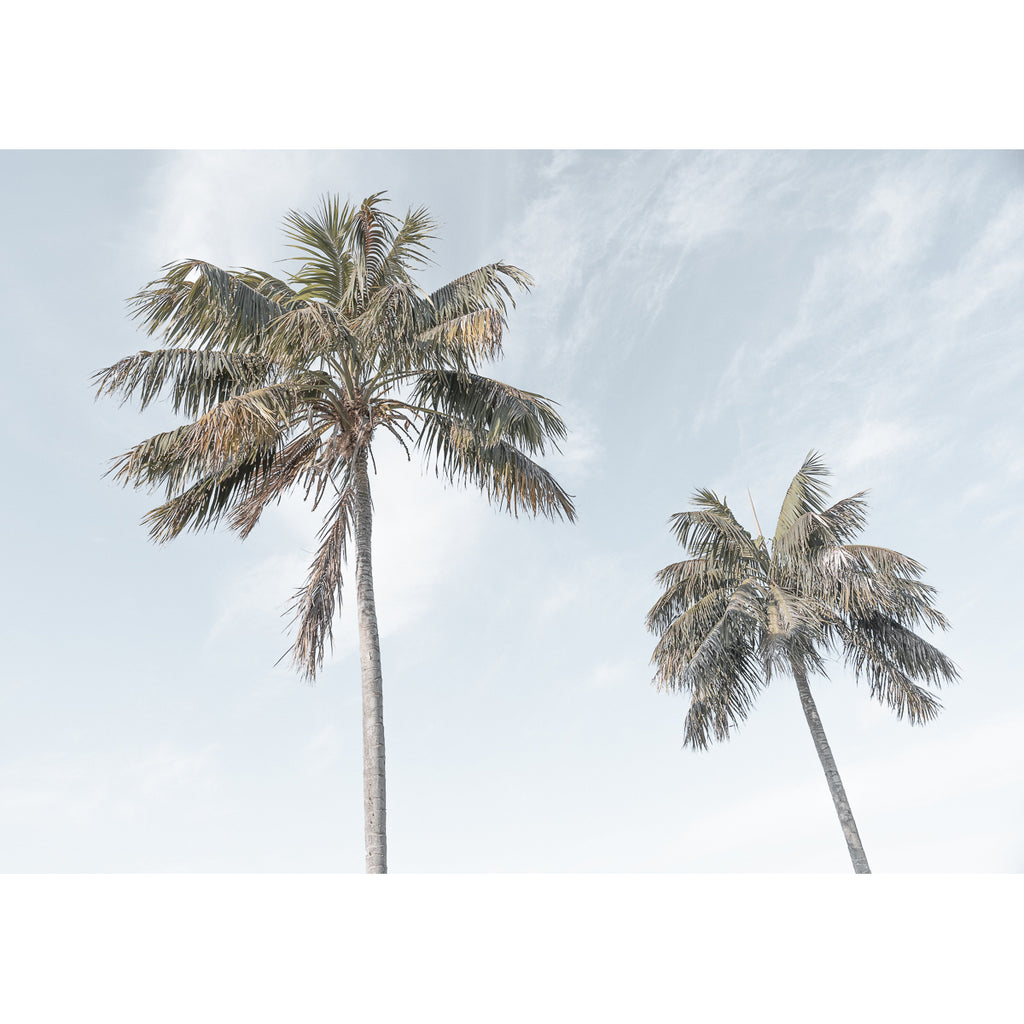 Two Palms - Art Print