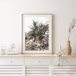 Pandanus Love - Art Print