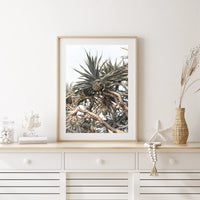 Pandanus Love - Art Print Tidaltones