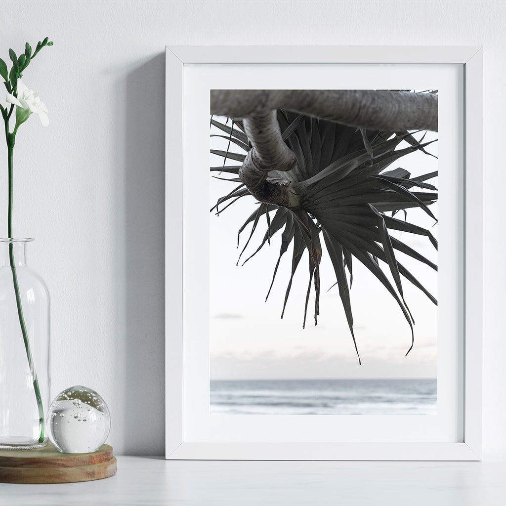 Pandanus By The Sea ii - Art Print