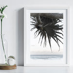 Pandanus By The Sea ii - Art Print
