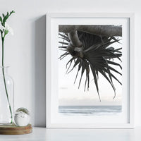 Pandanus By The Sea ii - Art Print Tidaltones