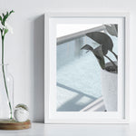 By The Pool - Art Print