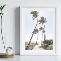 Gold Coast Palms - Gold Coast - Art Print