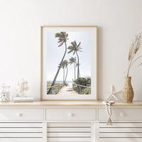 Gold Coast Palms - Tidaltones