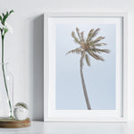 Single Palm - Art Print
