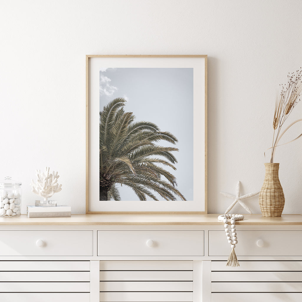 Canary Island Date Palm - Art Print