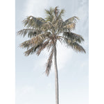 Two Palms - Art Print