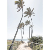 Gold Coast Palms - Tidaltones