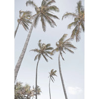 Tropical Palms - Art Print Tidaltones