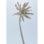 Single Palm - Art Print