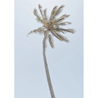 Single Palm - Art Print Tidaltones